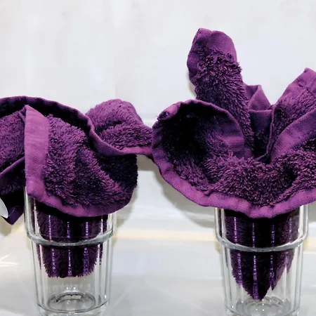 Brecherspitze ホテル ミュンヘン