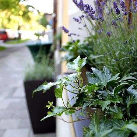 Brecherspitze Ξενοδοχείο