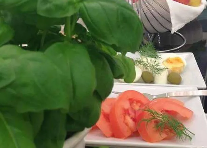 Brecherspitze Ξενοδοχείο