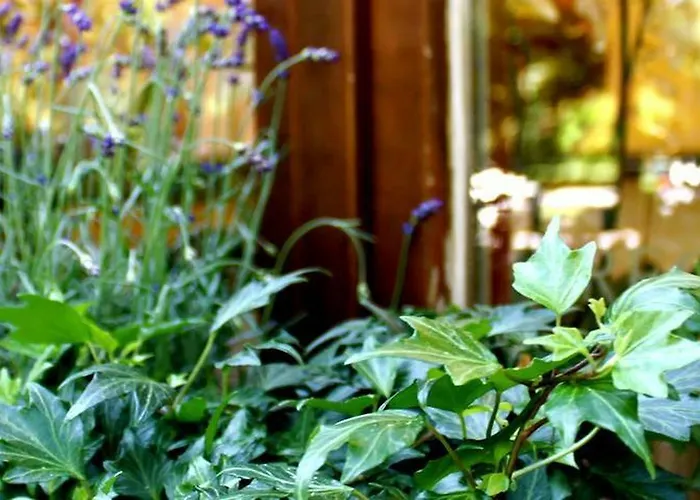 Brecherspitze Ξενοδοχείο