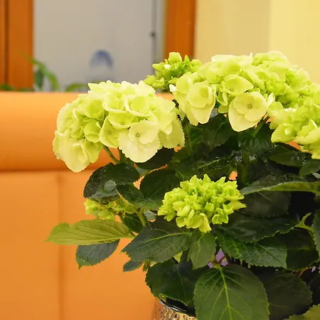 Hotell Brecherspitze München