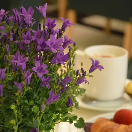 Hotell Brecherspitze München