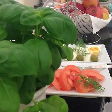 Brecherspitze 酒店