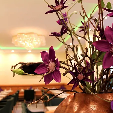 Hotell Brecherspitze München