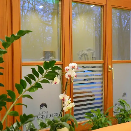 Brecherspitze 酒店 3*